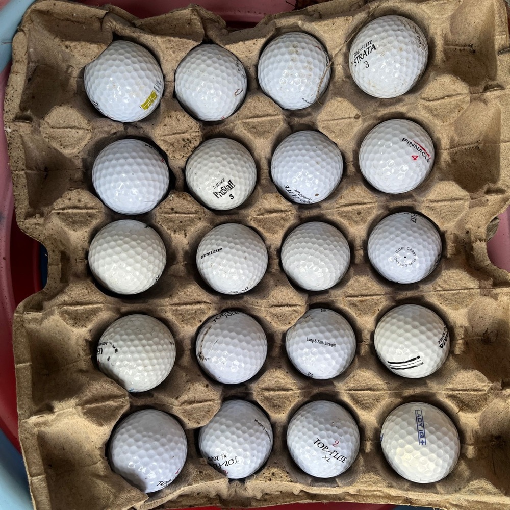 Used Golf Balls Practice Bulk Balls Assorted Brands (Lot of 40)